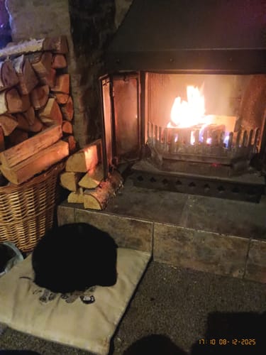 Customer photo review of Kiln Dried Birch Maxi Bag