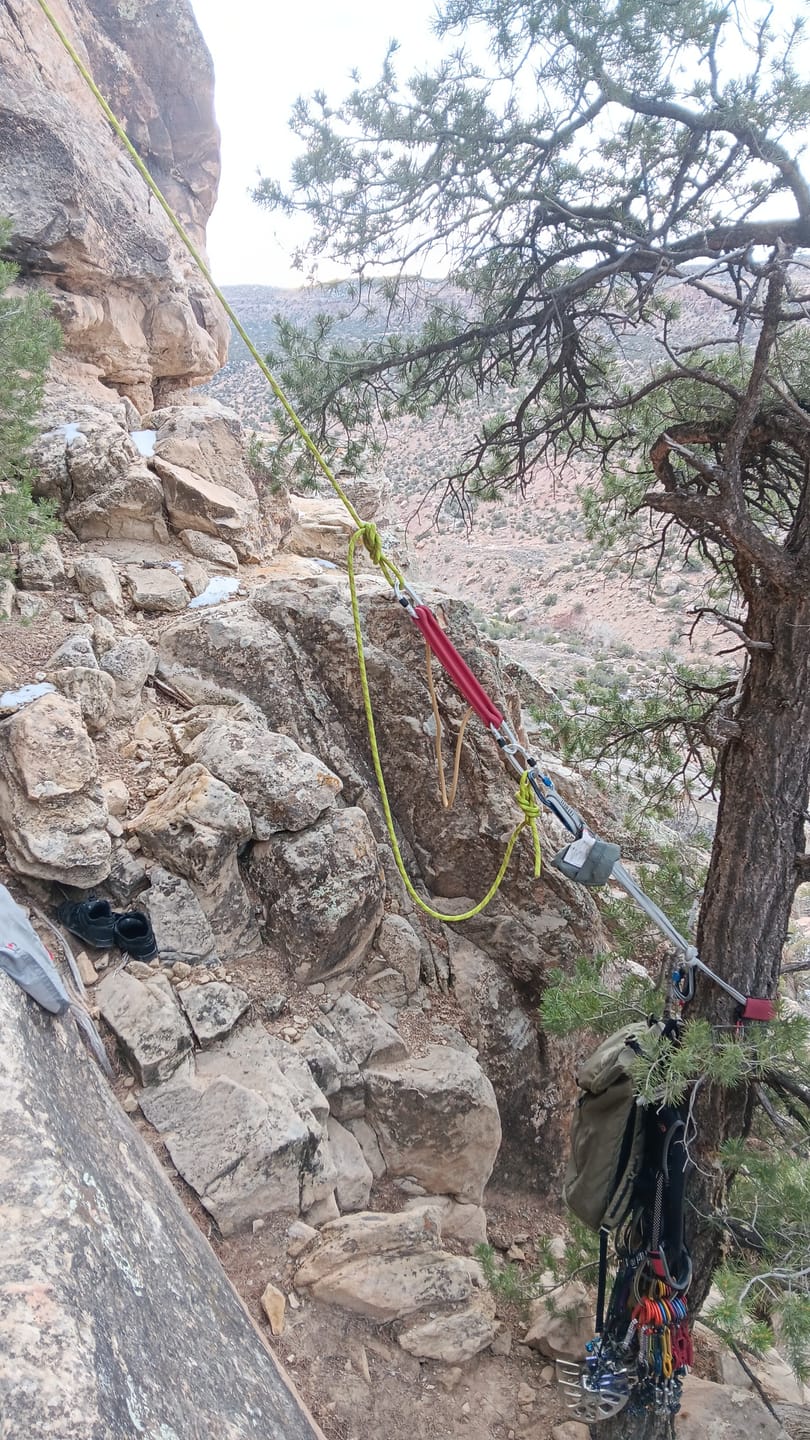 Customer photo review of "Comfort Catch" LRS Absorber
