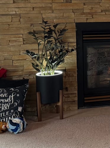 Customer photo review of Aura | Medium Round LED Planter - Luna White