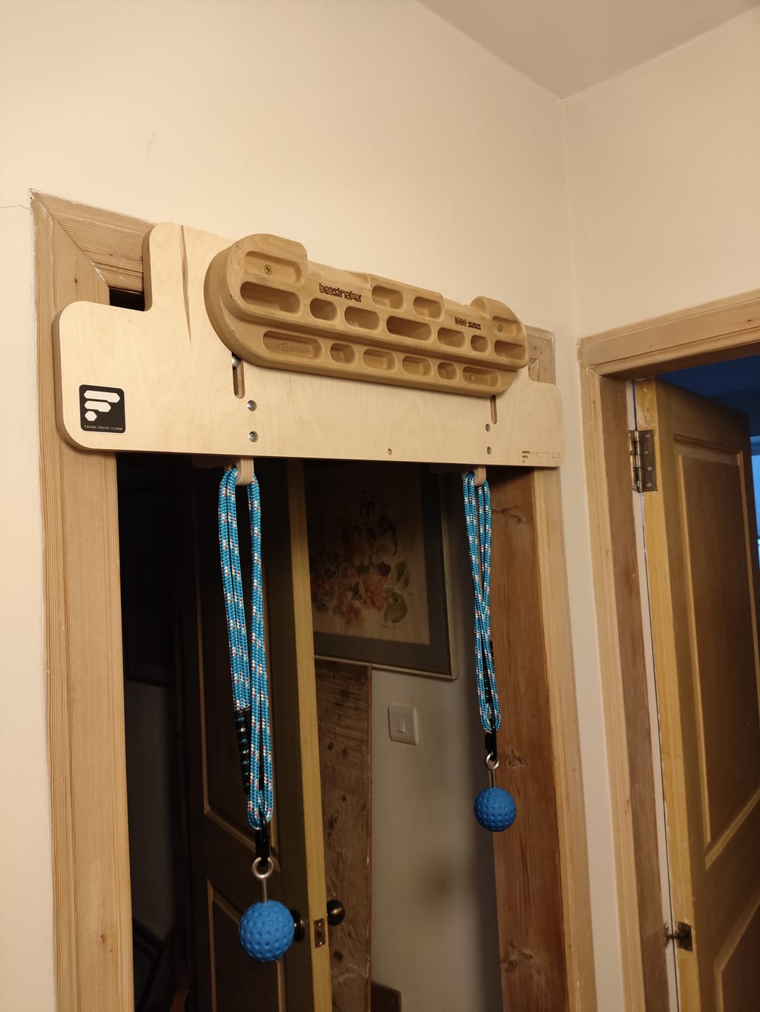 Customer photo review of Hangboard Doorway Mount
