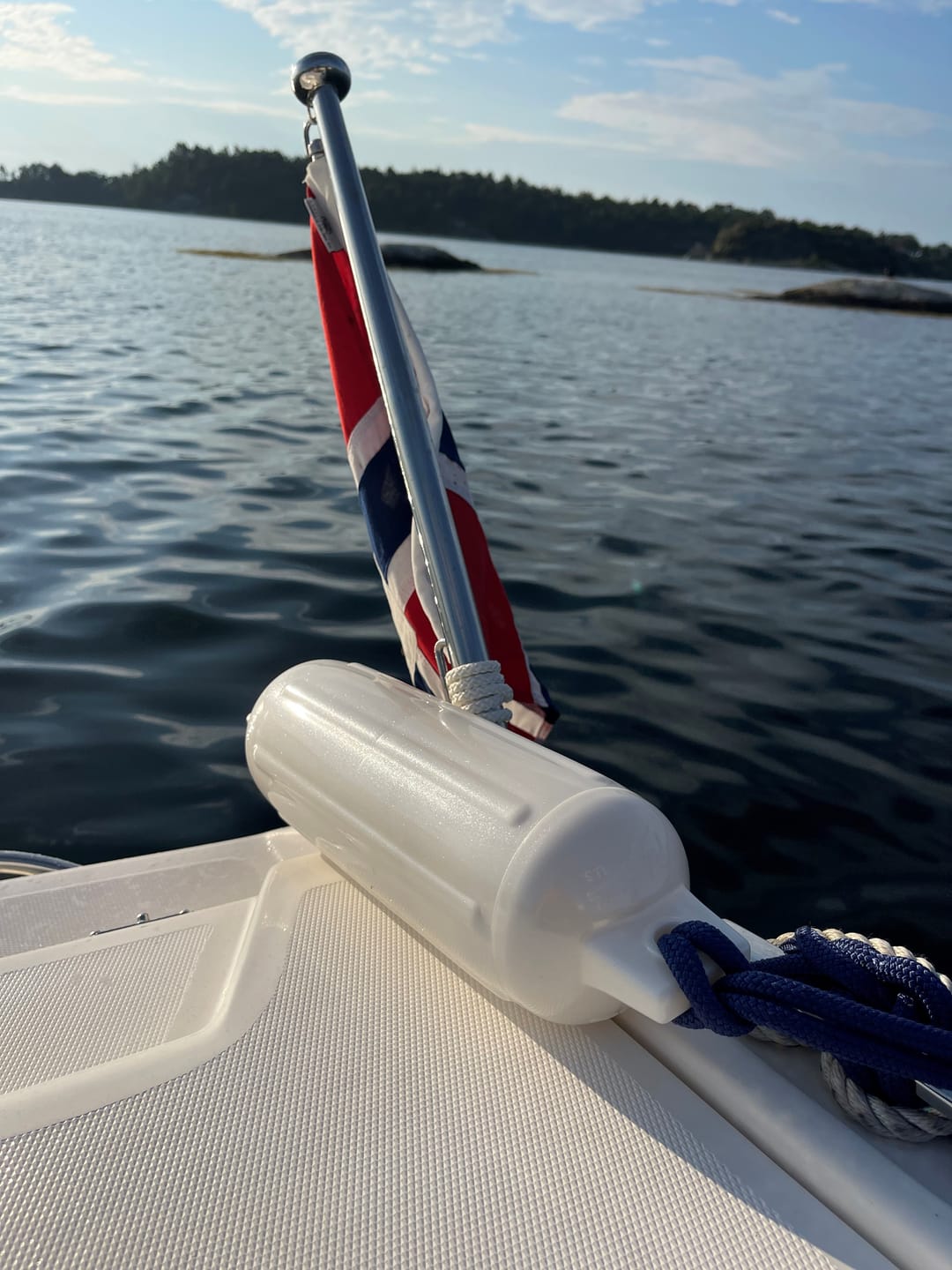 Customer photo review of G-Series Boat Fender G-2