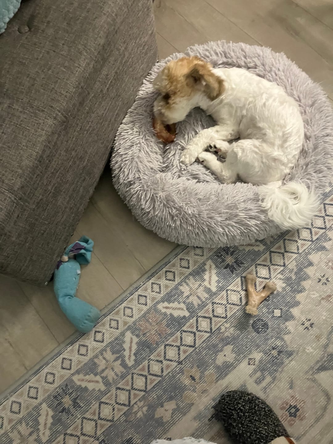 Customer photo review of Small Bully Stick Ring