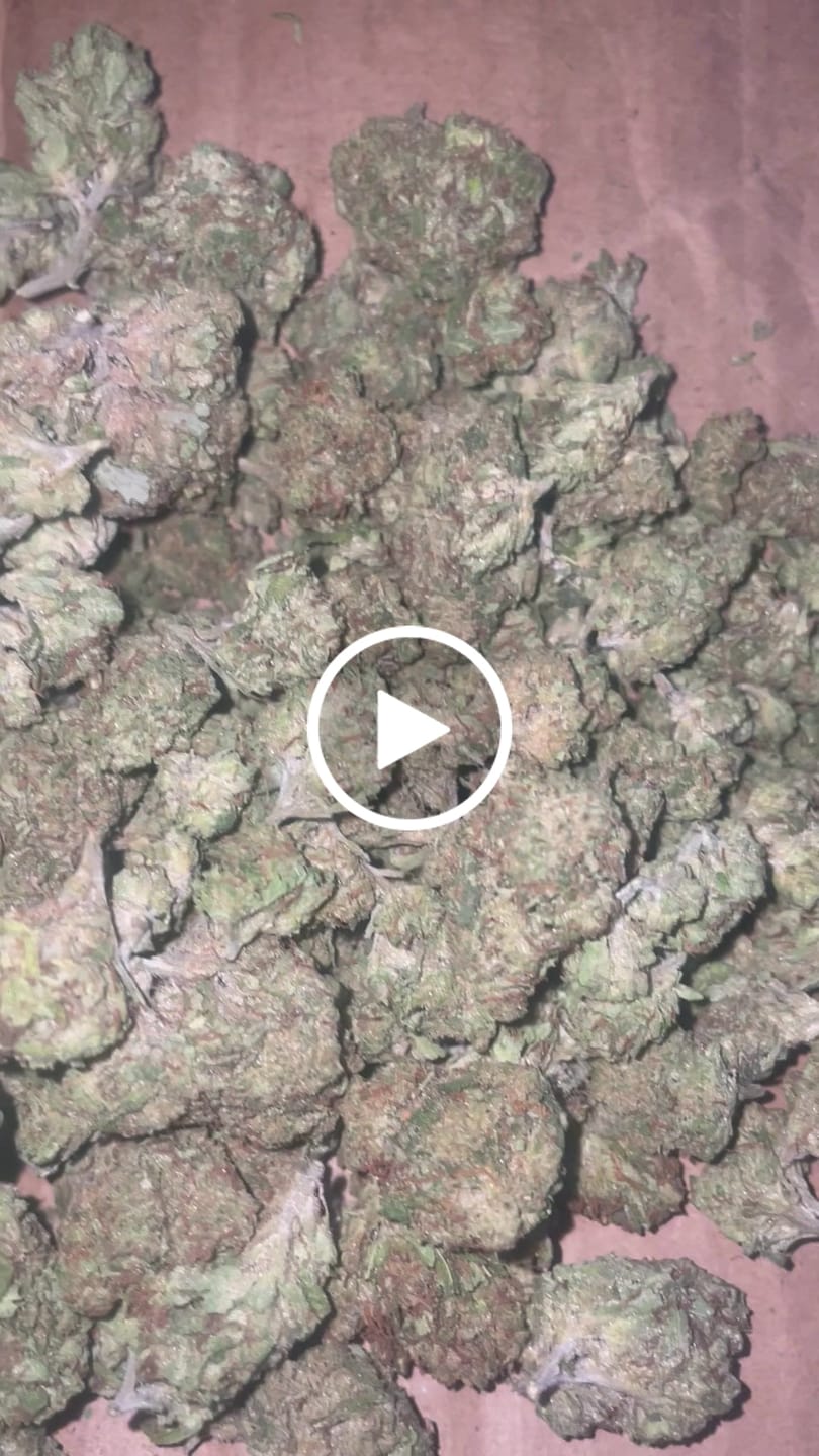 Customer video review of Double Cake - Light Dep THCA (Full Size)