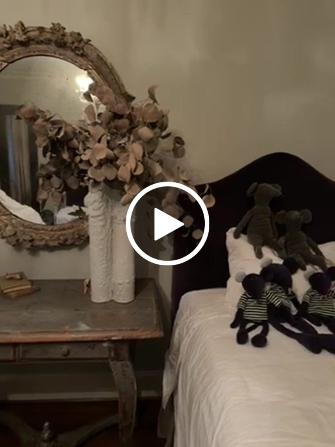 Customer video review of HECTOR LE RAT - M