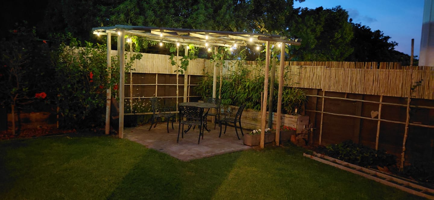 Customer photo review of Solar Festoon Bulb String Lights