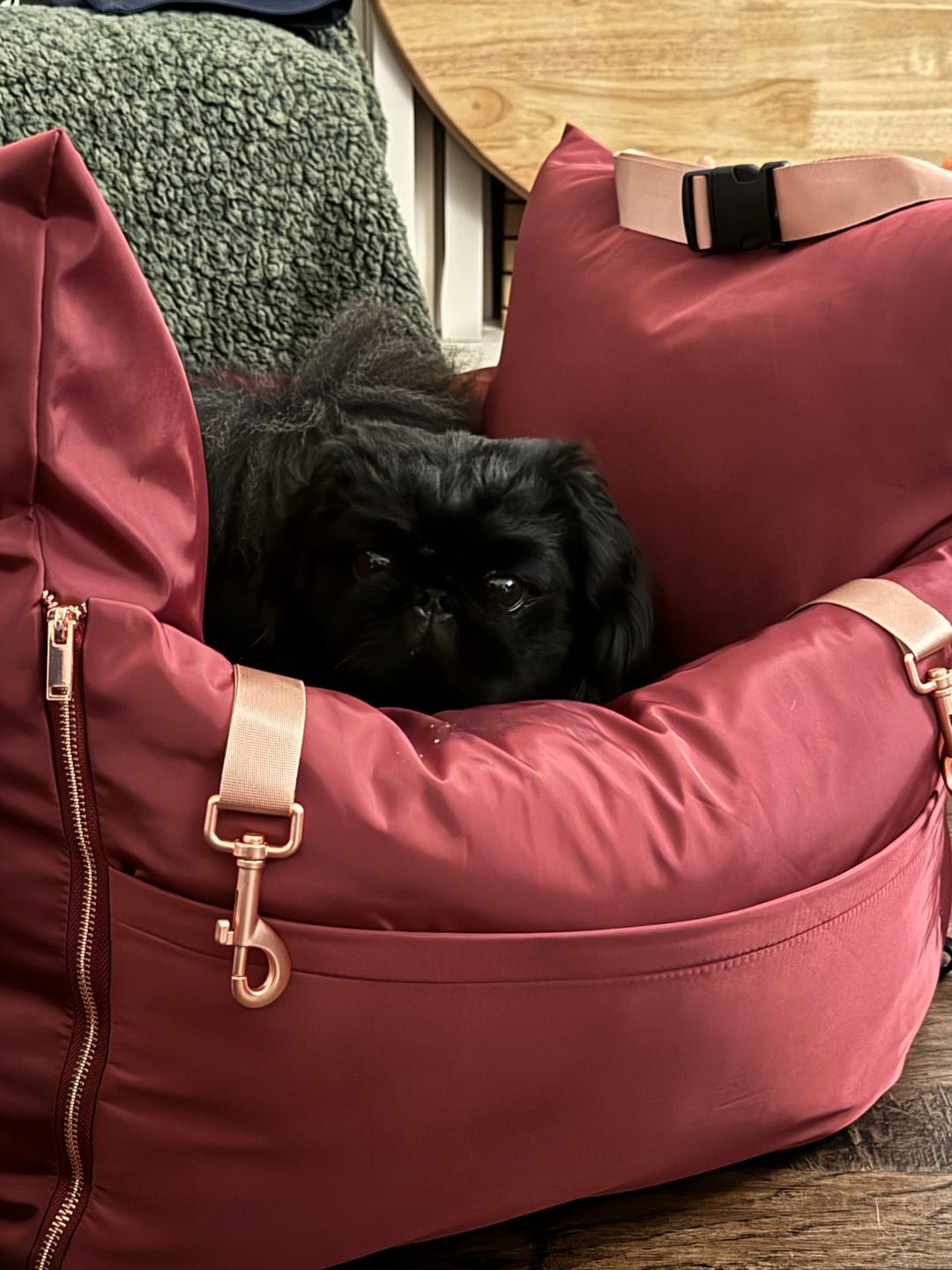 Customer photo review of Travel Dog Pod - Rosewood