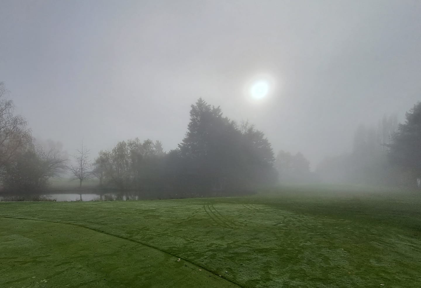 Customer photo review of Titleist - Mix