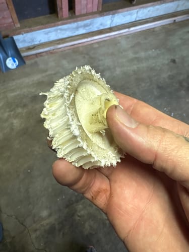 Customer photo review of Helical Drive Gear | 108609-0001