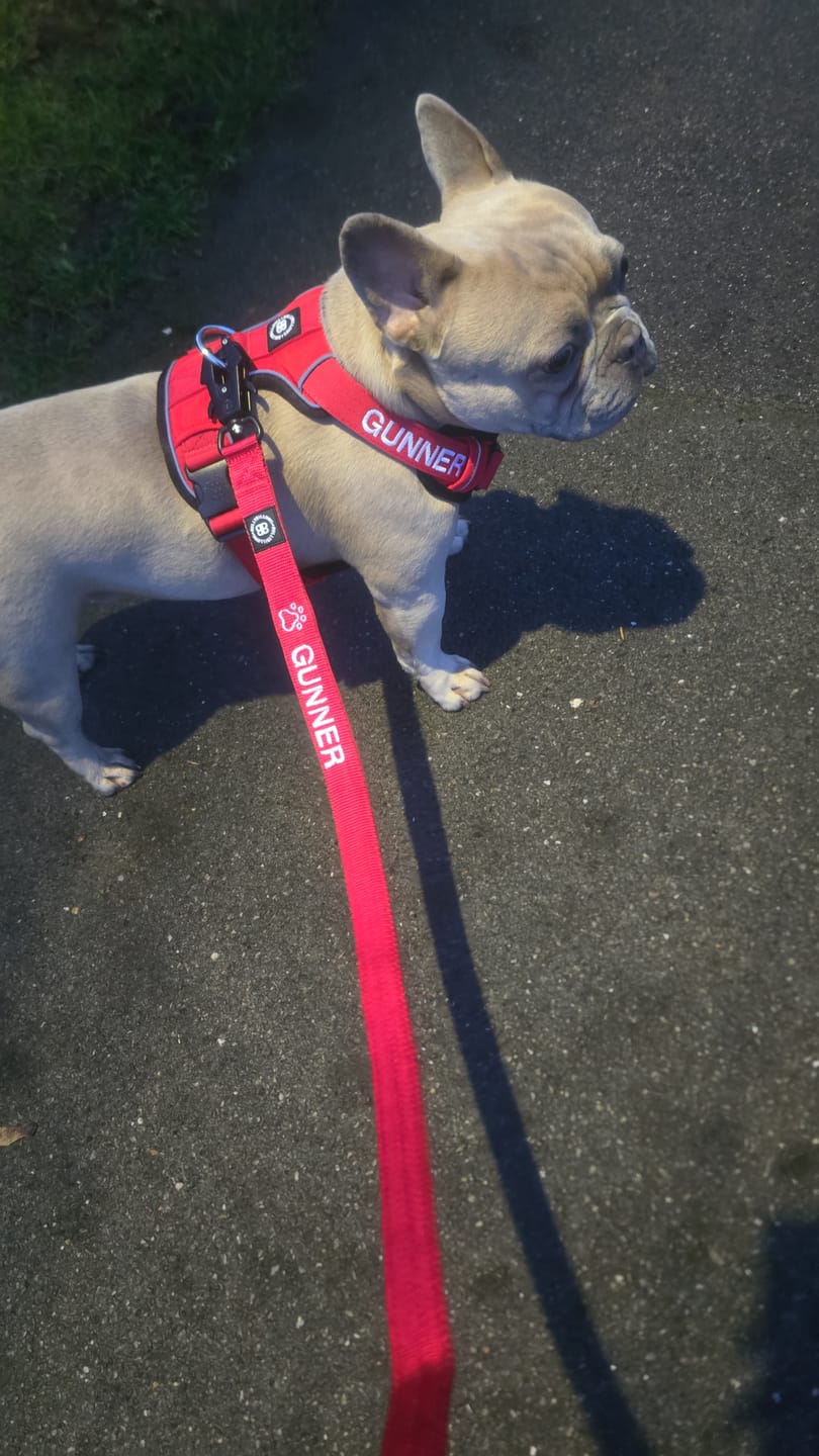 Customer photo review of Personalisation Fee £4.99