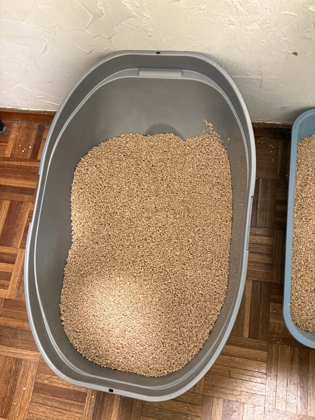 Customer photo review of Pack Cosycat 8,6 + 8,6 kg
