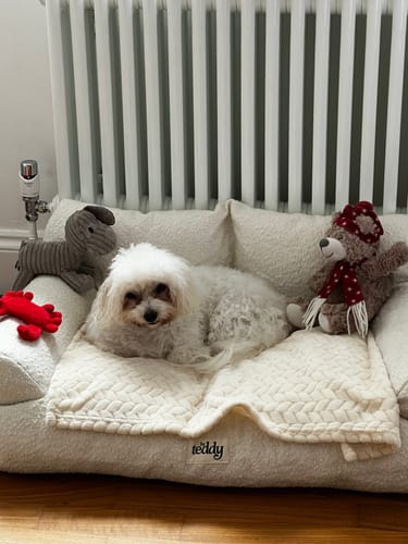 Customer photo review of Marshmallow | The Teddington Sofa
