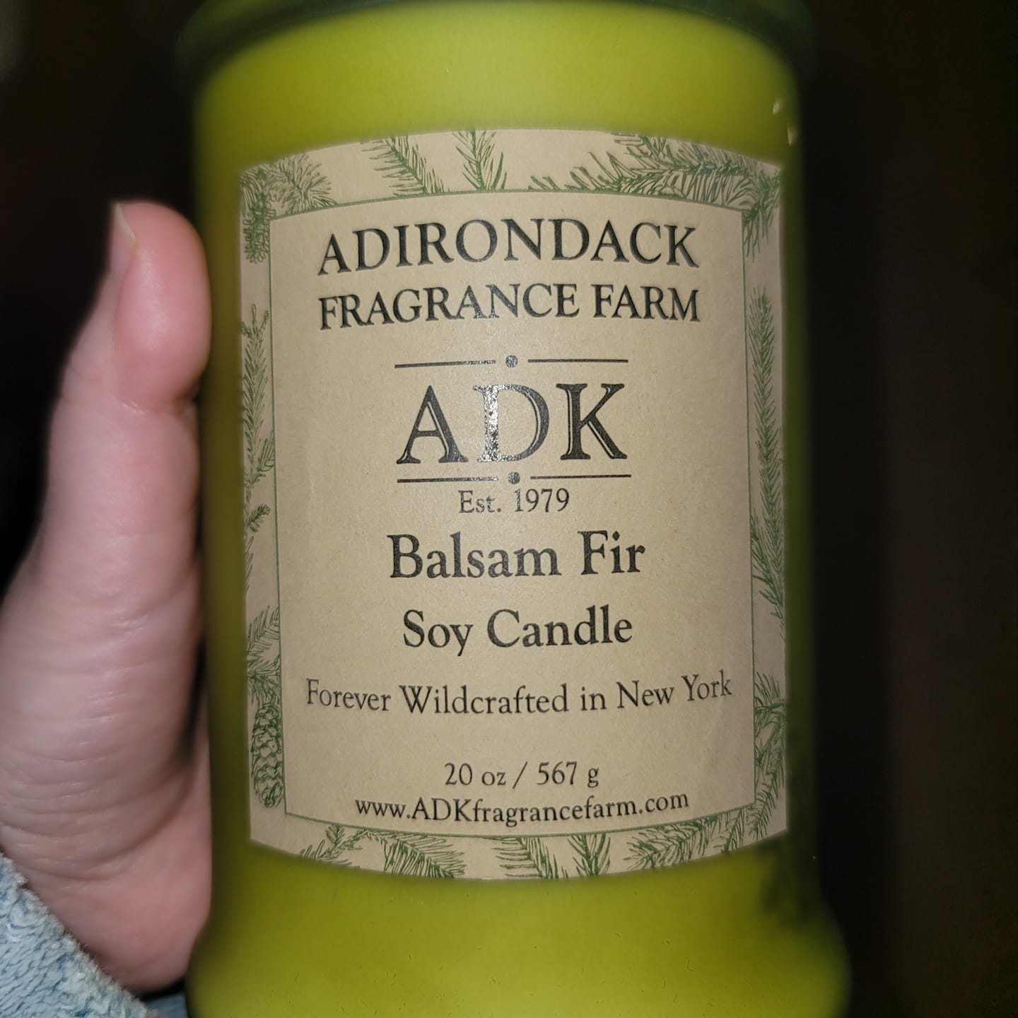 Customer photo review of Balsam Fir Candle