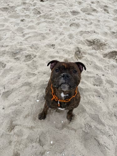 Customer photo review of Langgliedrige Eastside Chain HERBSTKOLLEKTION