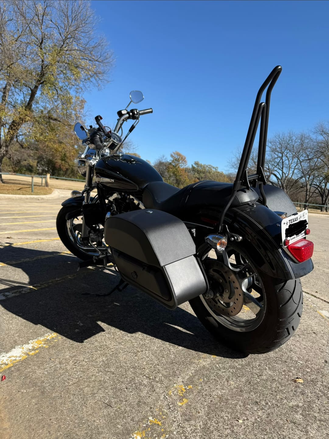 Customer photo review of Iron Born Blade 25" Sissy Bar with Foldable Luggage Rack for Harley Sportster 1200 Custom XL1200C Matte Black