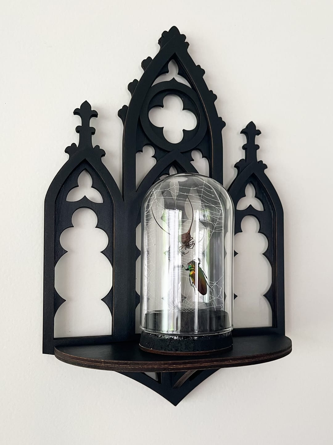 Customer photo review of Mini Gothic Cathedral Wall Shelf