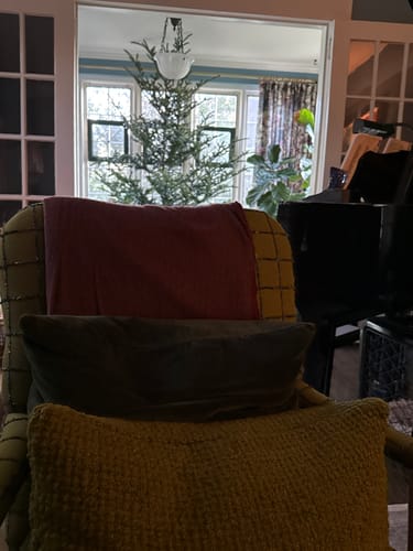 Customer photo review of Brand New English Burgundy and Mocha Herringbone Luxury Woven Cashmere Blanket