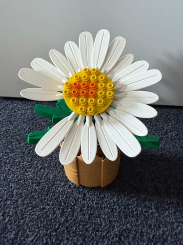 Customer photo review of G-DRAGON -  818 Bloom x Oxford (Limited Edition) (6kshop Exclusive benefit)