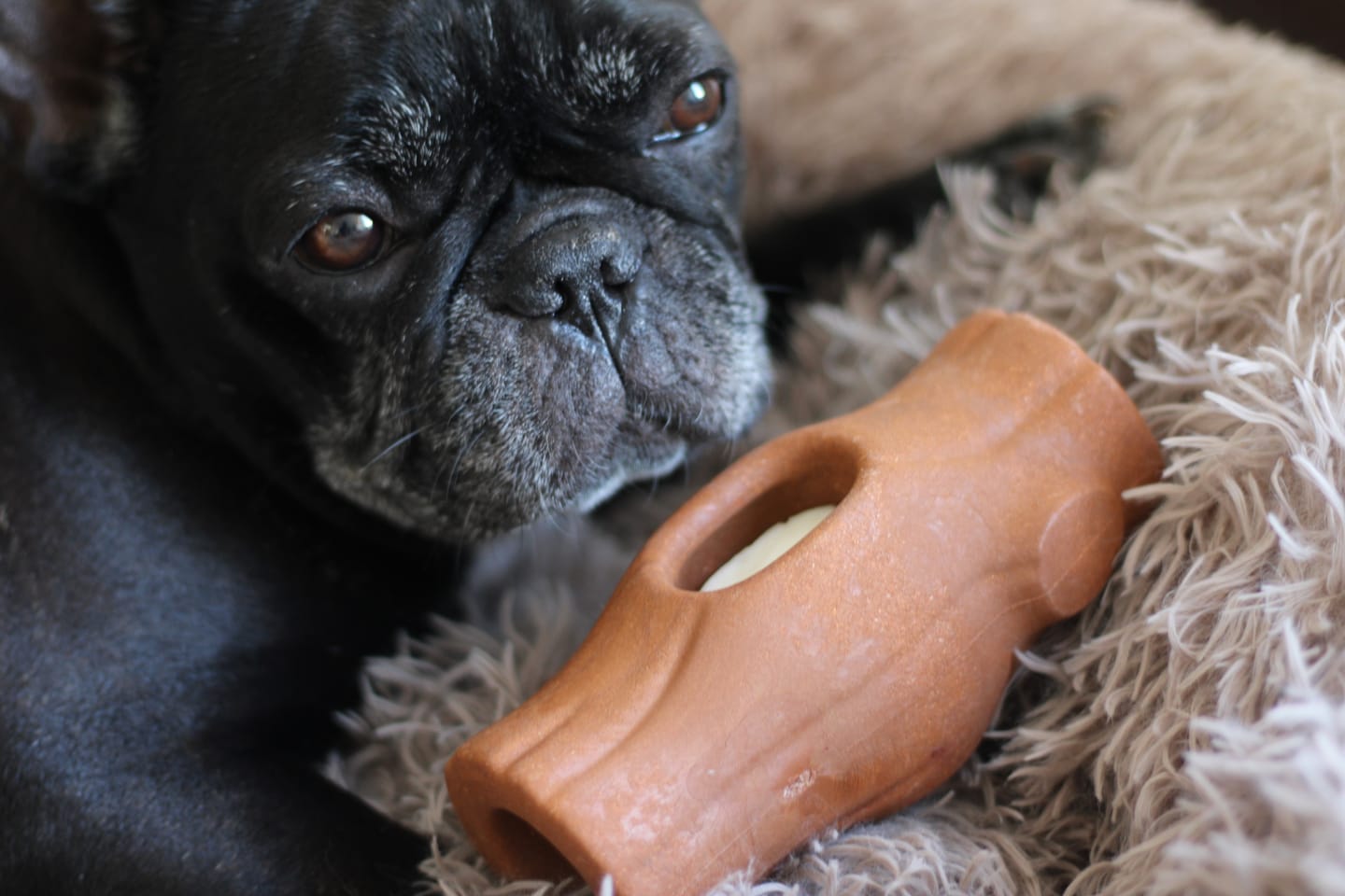Customer photo review of Tronco Mágico THE DOGS — Calma con Snacks Congelados