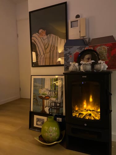 Customer photo review of EVIQ Elektrische Sfeerhaard Toronto - vrijstand