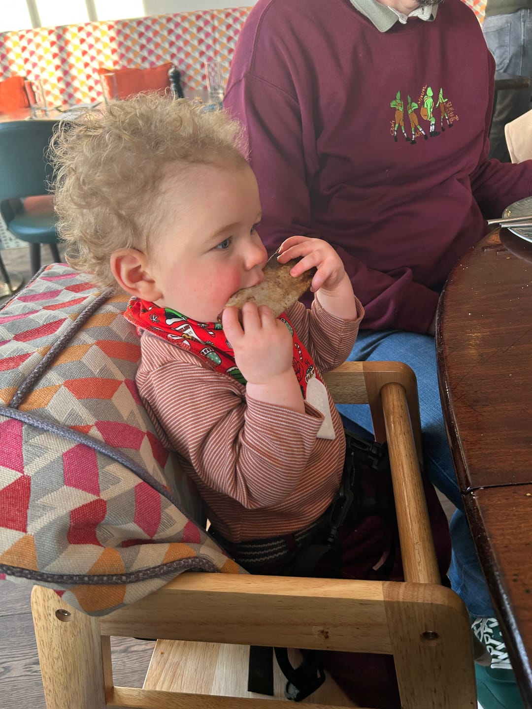 Customer photo review of SnooZip Signature Christmas Teething Bib
