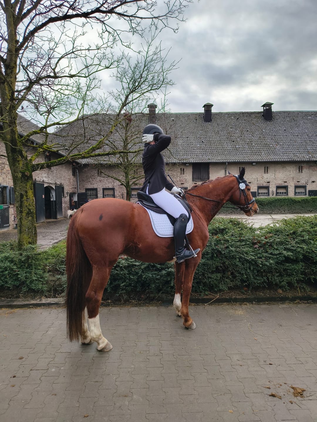 Customer photo review of Bella Reithose Full-Grip