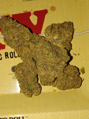 Customer photo review of Pave Khalifa - Light Dep THCA (Full Size)