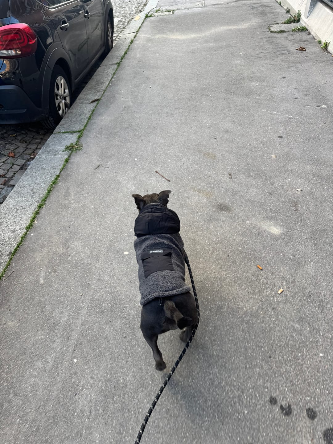 Customer photo review of Reversible Sherpa Jacket - Grey and Black