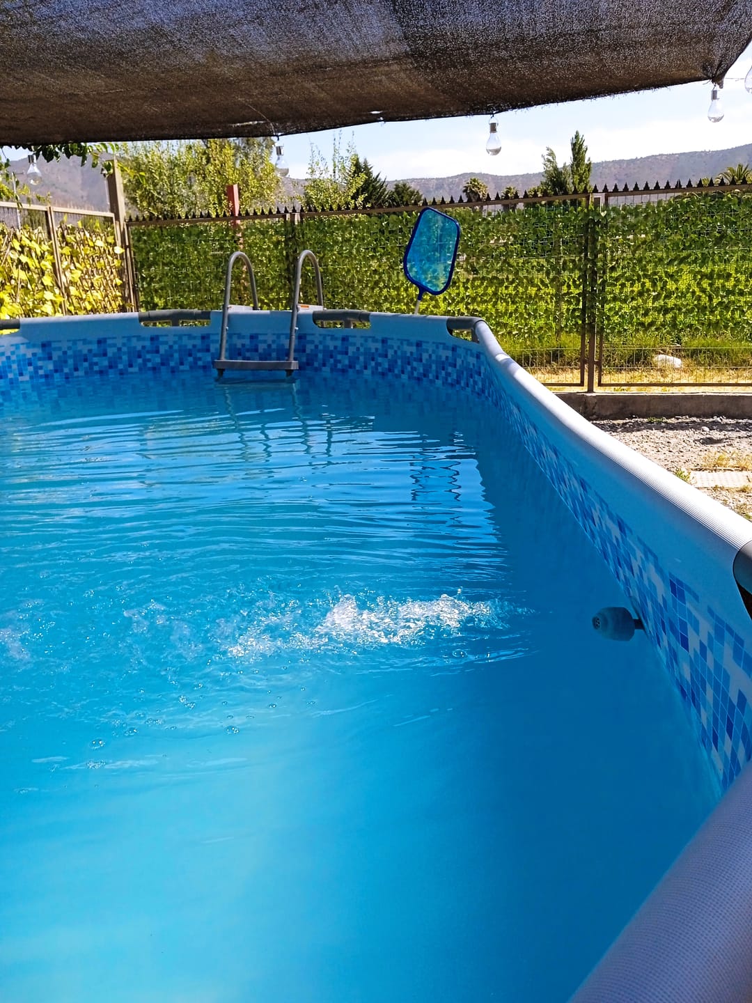 Customer photo review of Clarificante liquido 1 lts - 25% OFF