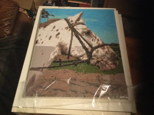 Reviewer's partially completed Personalised Crystal Art Canvas of a spotted horse.