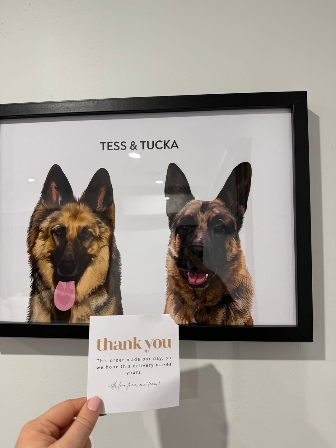 Customer photo review of 1 Pet
