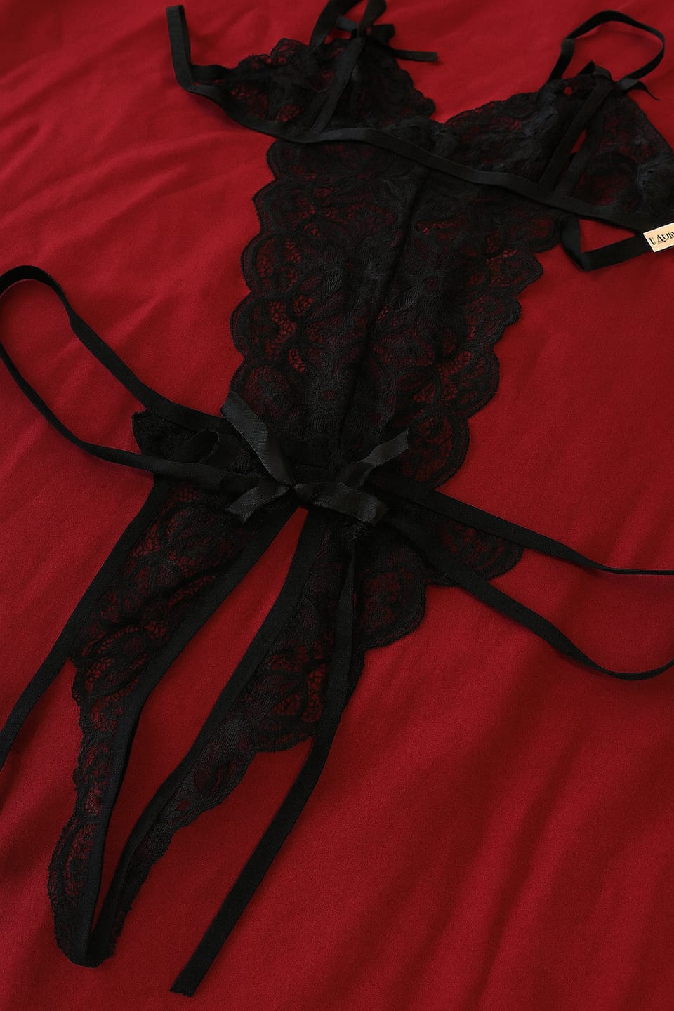 Customer photo review of Desire Lace Fantasy Crotchless Bodysuit