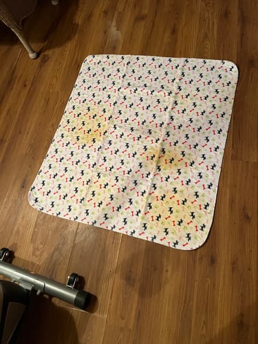Customer photo review of PuppyPad