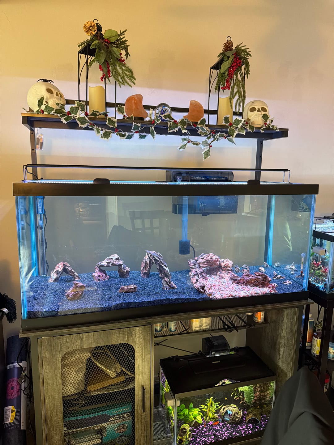 Customer photo review of Scuba Contactless Heaters