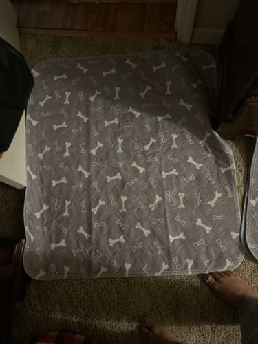 Customer photo review of PuppyPad