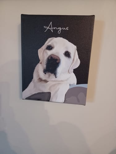 Customer photo review of Pet Art Canvas Wrap