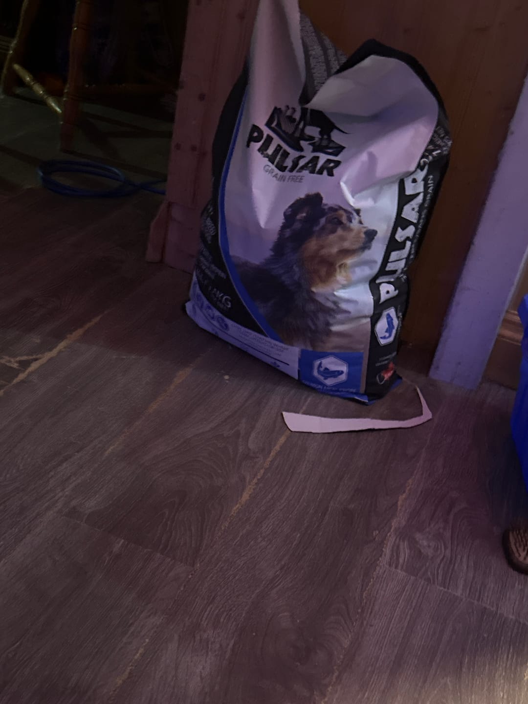 Customer photo review of Horizon Pulsar - Nourriture sans grains pour chien