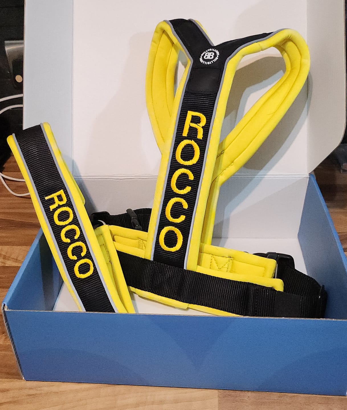 Customer photo review of Slip on Harness | Foam Padded - Black x Yellow