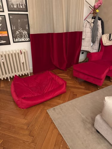 Customer photo review of Divanetto per cani Velluto Rosso: eleganza audace e comfort avvolgente
