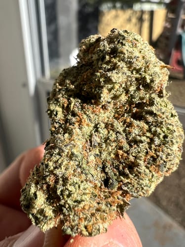 Customer photo review of Pink Guava - Indoor Exotic THCA (Full Size)