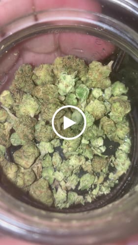 Customer video review of Exotic Micros