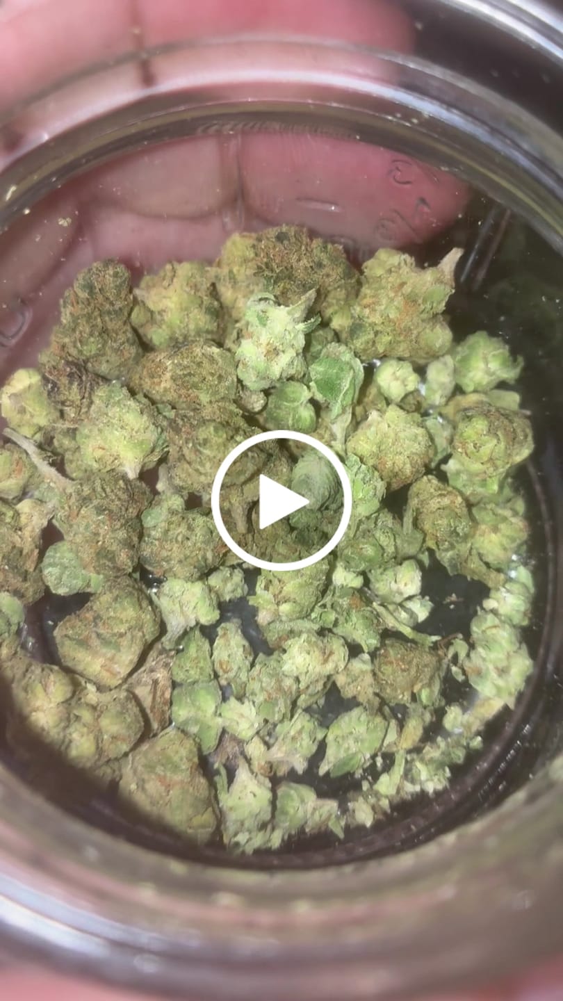 Customer video review of Exotic Micros