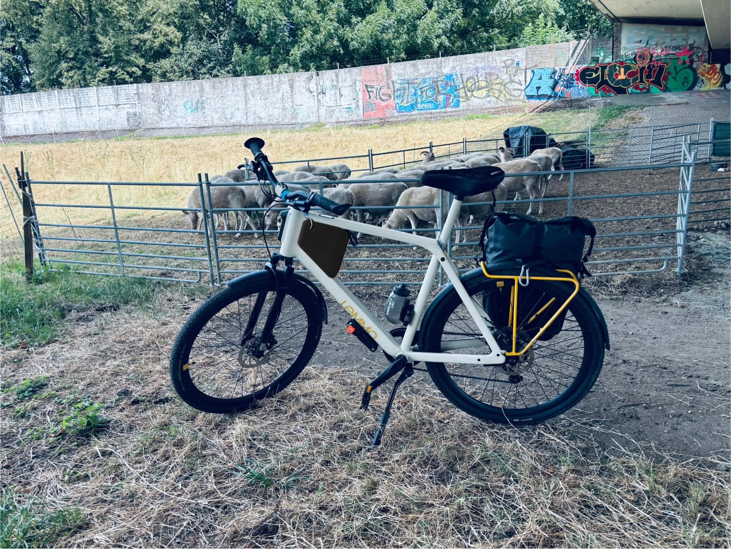 Customer photo review of ONE MK2
