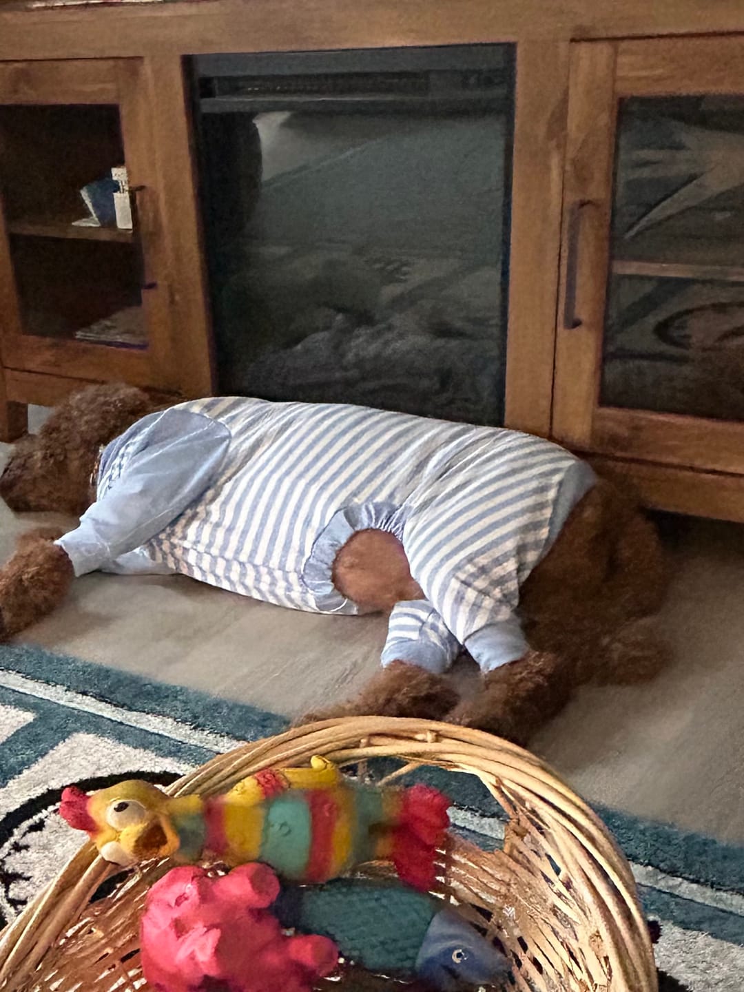 Customer photo review of Dog Pajama - Blue Stripes