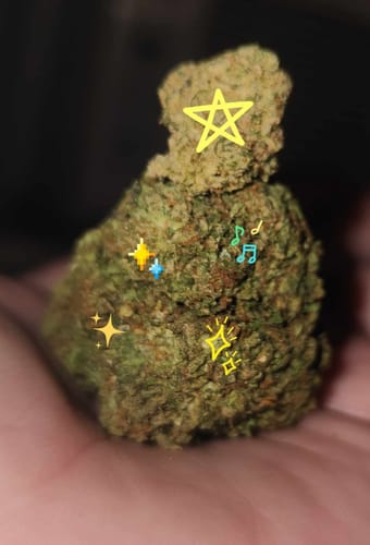 Customer photo review of Shipping Protection by Route