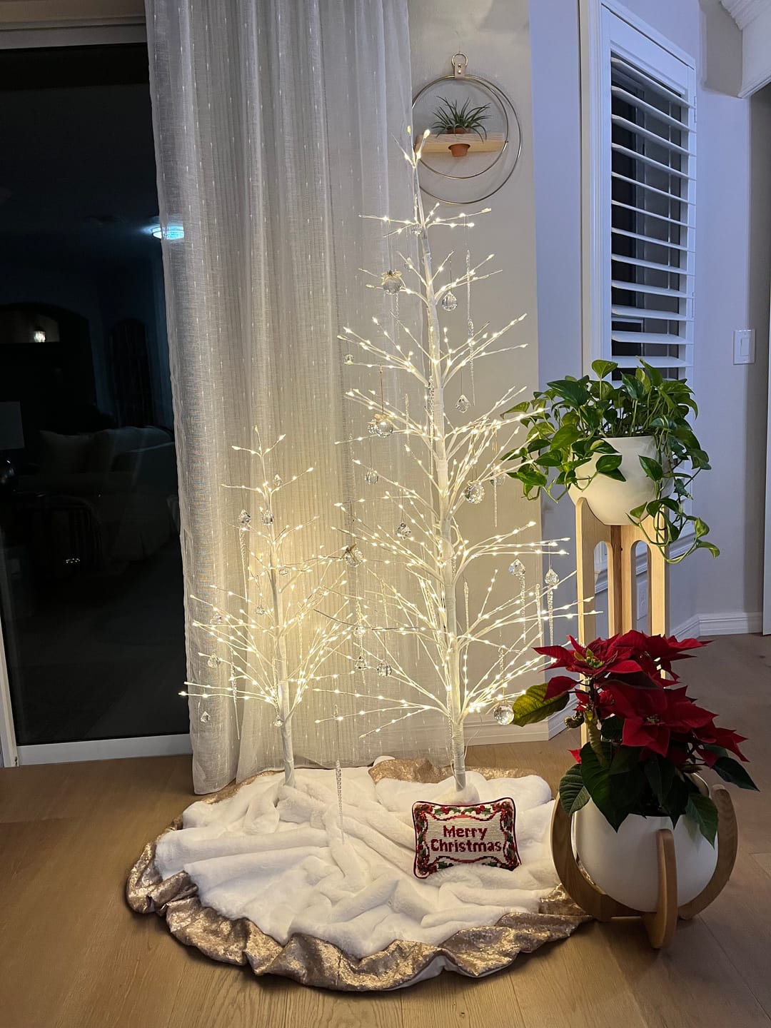 Customer photo review of Arches Plant Stand + Pot