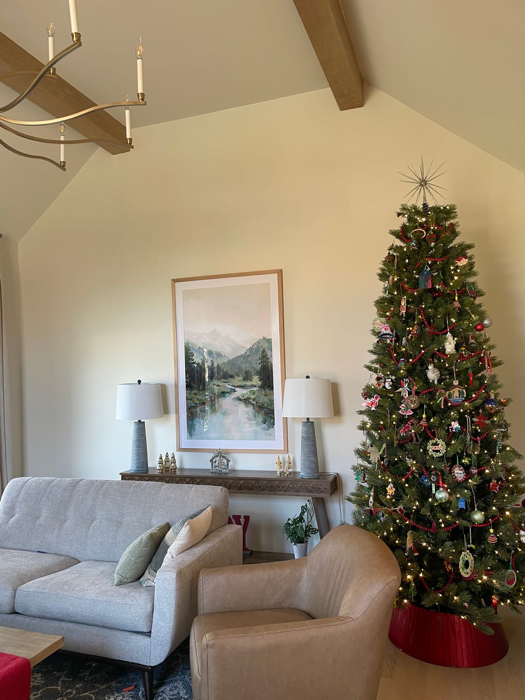 Customer photo review of Rocky Mountain River Valley No1