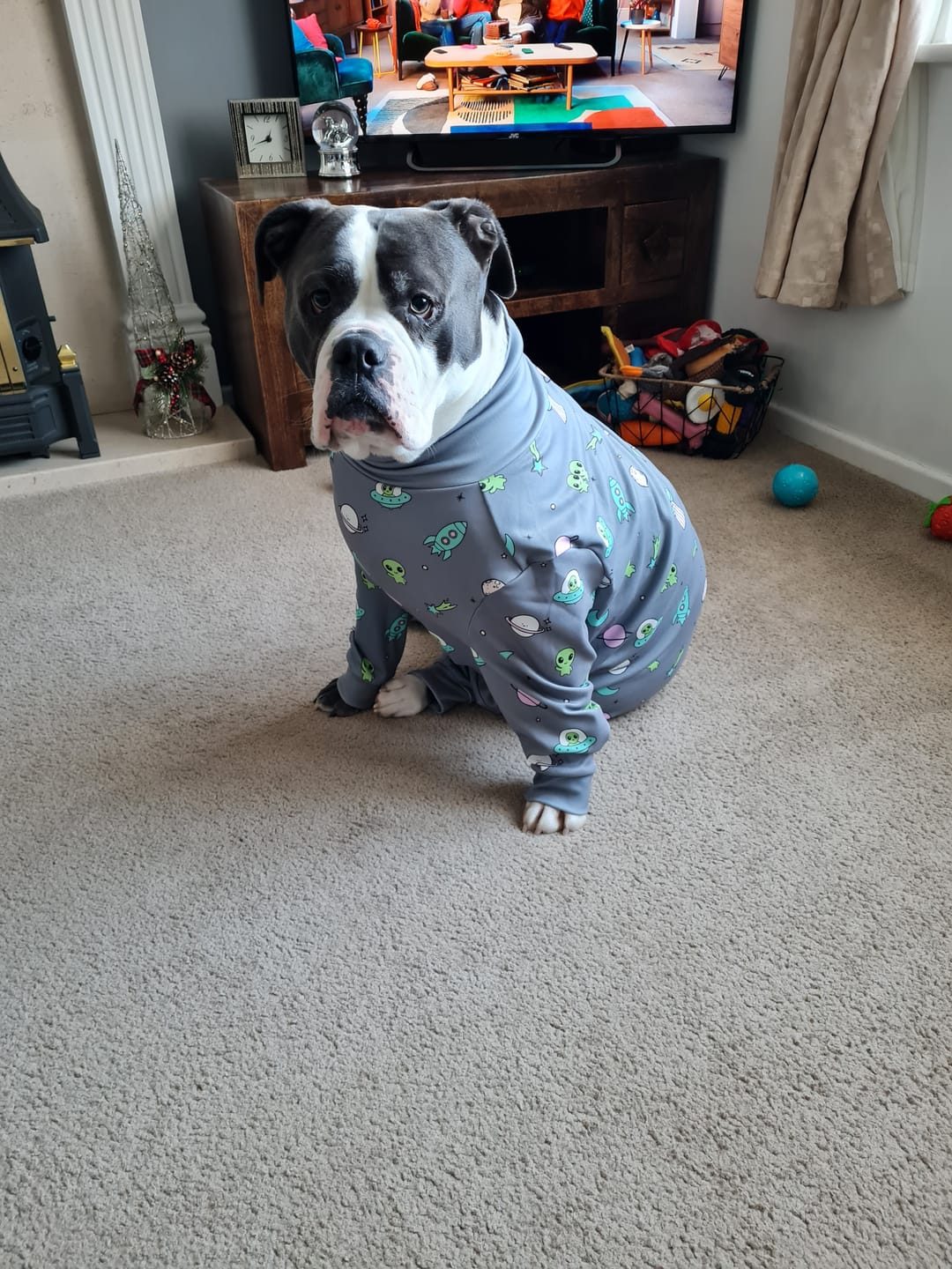 Customer photo review of Dog Pajama - Alien