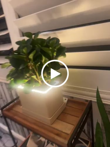 Customer video review of Retro Table LED Planter - Luna White
