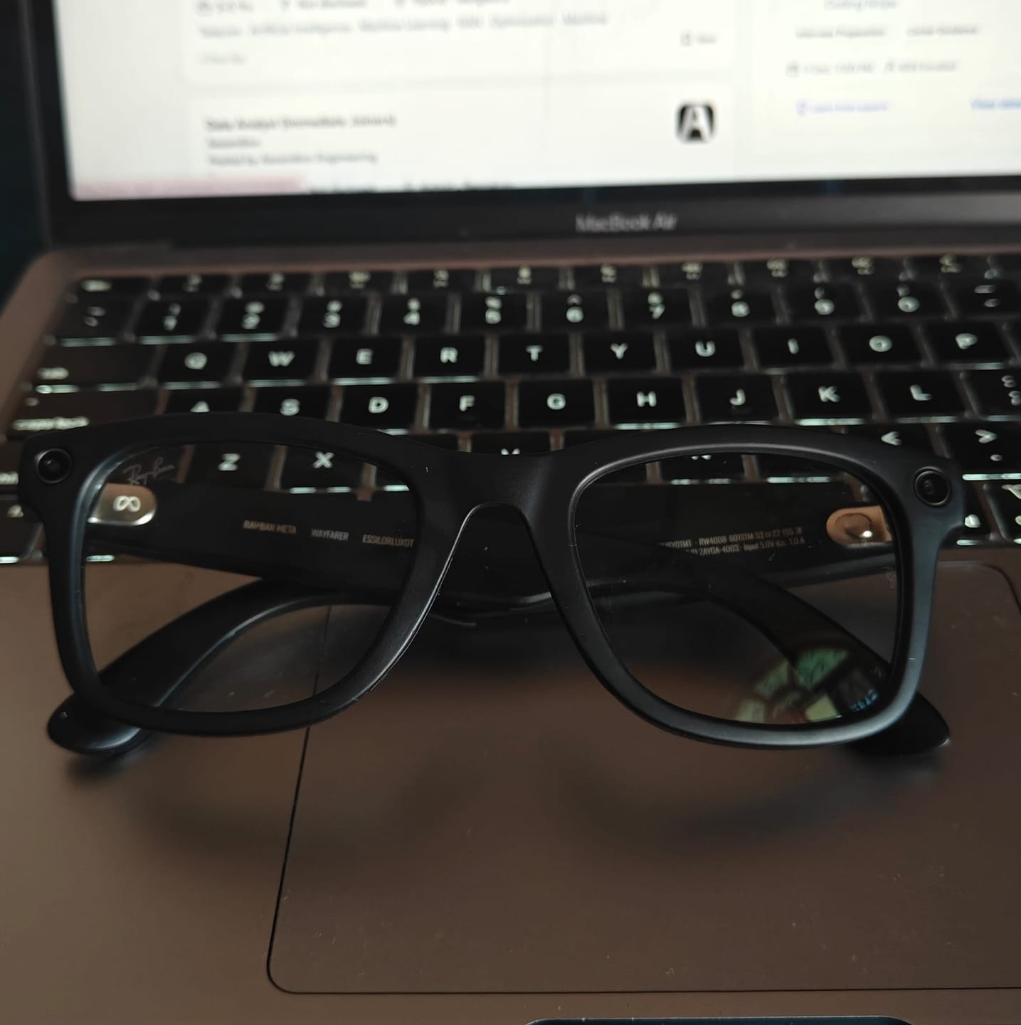 Customer photo review of Rayban Meta Wayfarer Large Transition RW 4008 601/S1M