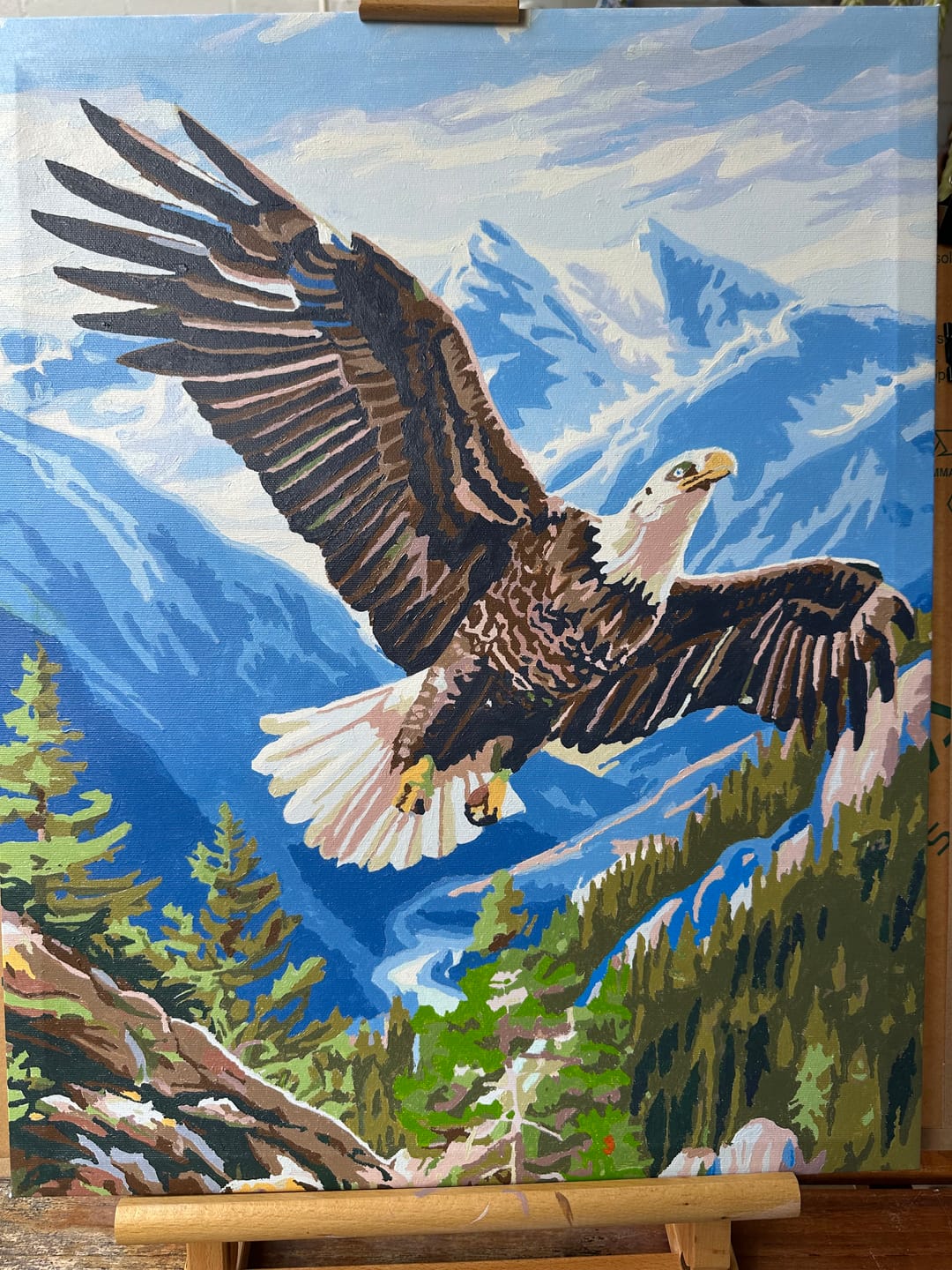 Customer photo review of Majestic Eagle